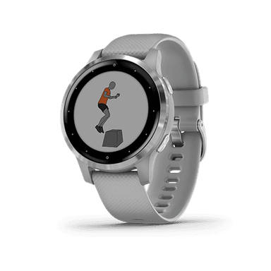 vivoactive 4 Shadow Gray/Silver