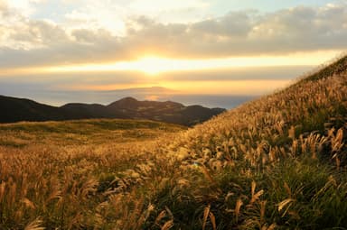 稲取細野高原_1