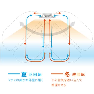 夏も冬も活躍