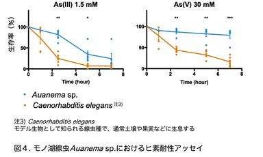 図4（極限環境の湖からヒトの５００倍のヒ素耐性を持つ線虫を発見）