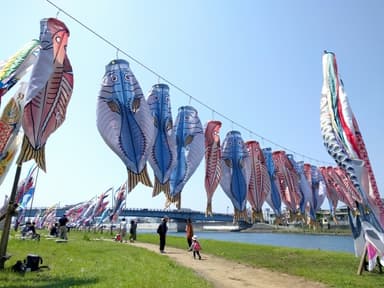 沼津特産　アジの「ひものぼり」