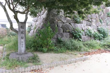 挙母城隅櫓跡 桜城