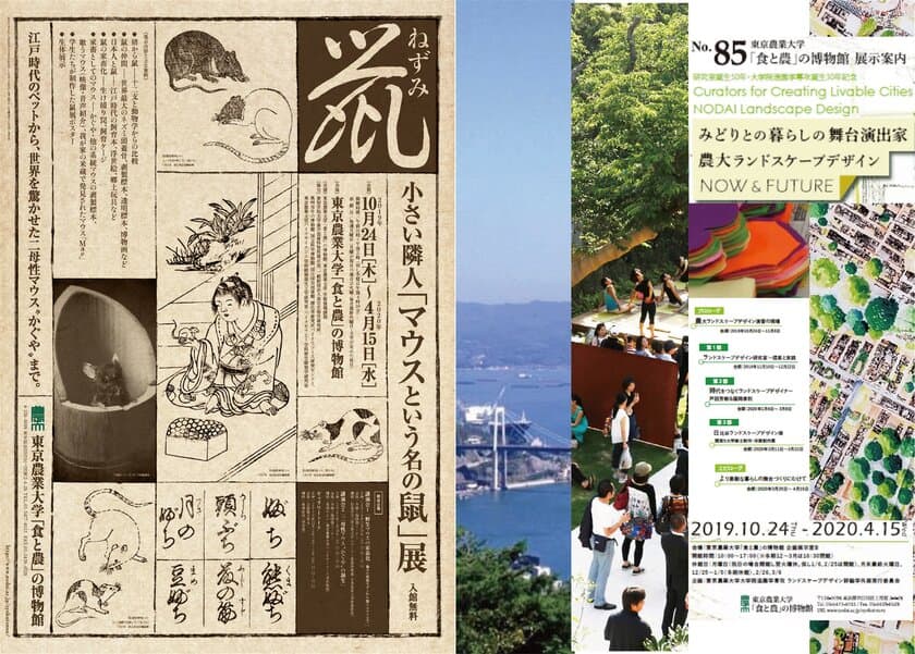 東京農大「食と農」の博物館で新企画　
「マウスという名の鼠」
「農大ランドスケープデザイン」展を開催