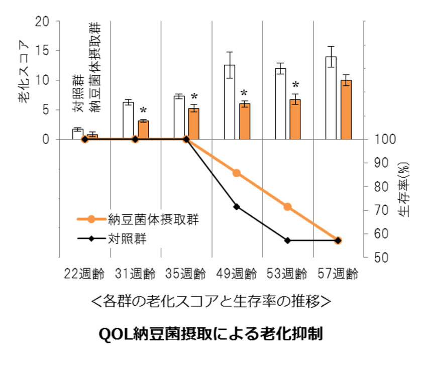 “殺菌済み”の納豆菌素材『QOL納豆菌』を開発・販売開始　
食品の製造ラインの汚染リスク減少により幅広い加工条件に適応