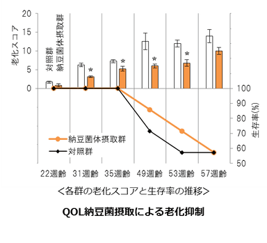 QOL納豆菌_図