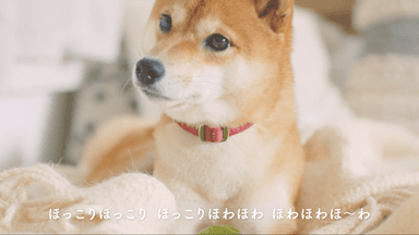 登場する愛犬(4)名前：なな