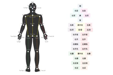 2D時骨格検出図(30ポイント)