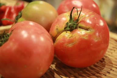 美味しい廃棄野菜