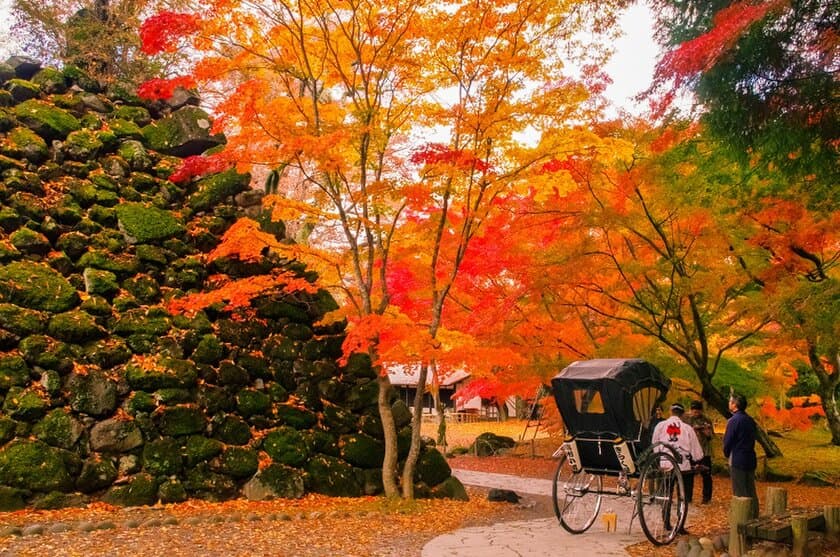 信州 小諸は元気です！
「小諸城址懐古園 紅葉(もみじ)まつり」開催中　
首都圏からのアクセスもほぼ正常通り、やっぱり近い信州 小諸