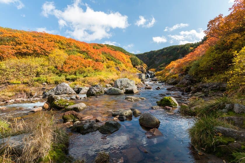 【アゴダ】
アゴダが注目する「美しい紅葉を楽しむ国内の旅行先5選」
～写真撮影に最適な日本の紅葉ベストスポット～