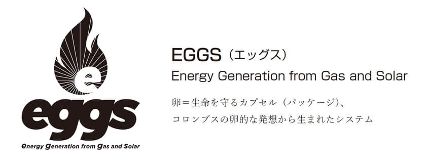 災害時の電源確保、高まるBCPニーズに低コストで対応　
「LPガス＋太陽光ハイブリッド発電システム(EGGS)」を商品化