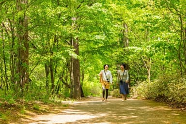 新緑の季節は木漏れ日が気持ち良い