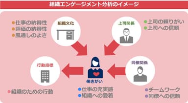 組織エンゲージメント分析のイメージ