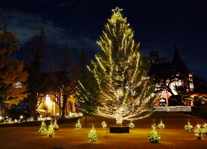 大学で夜空に輝くクリスマスツリーを堪能！
2019明治学院 クリスマスツリー点灯式開催！
白金11月22日(金)・横浜11月15日(金)
※入場無料・予約不要