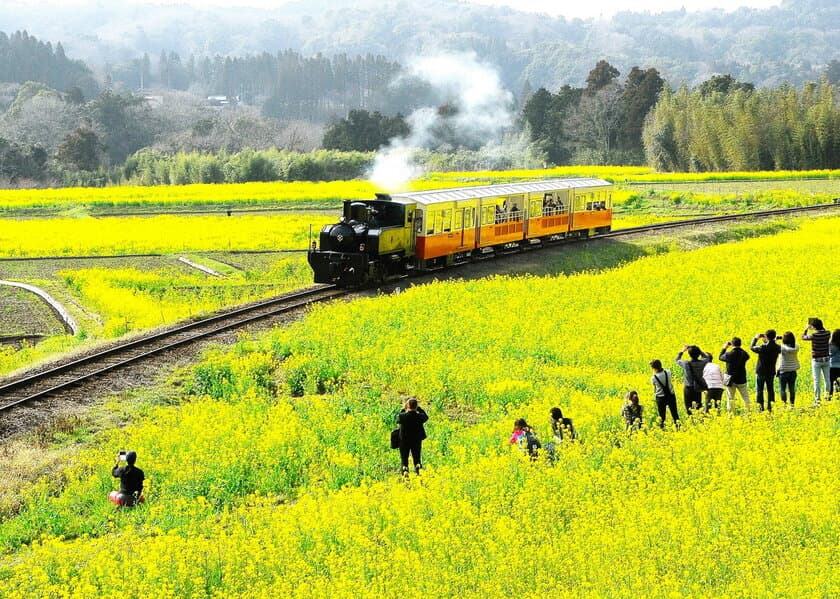 房総里山芸術祭 いちはらアート×ミックス2020　
企画発表会を東京・白金台「八芳園」で開催