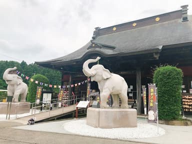 長福寿寺の吉ゾウくん