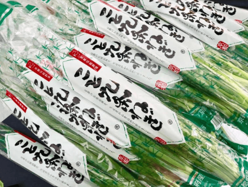 京都伝統野菜「こと九条ねぎ」
ブランドねぎが大集合「全国ねぎサミット2019 in まつど」へ参加