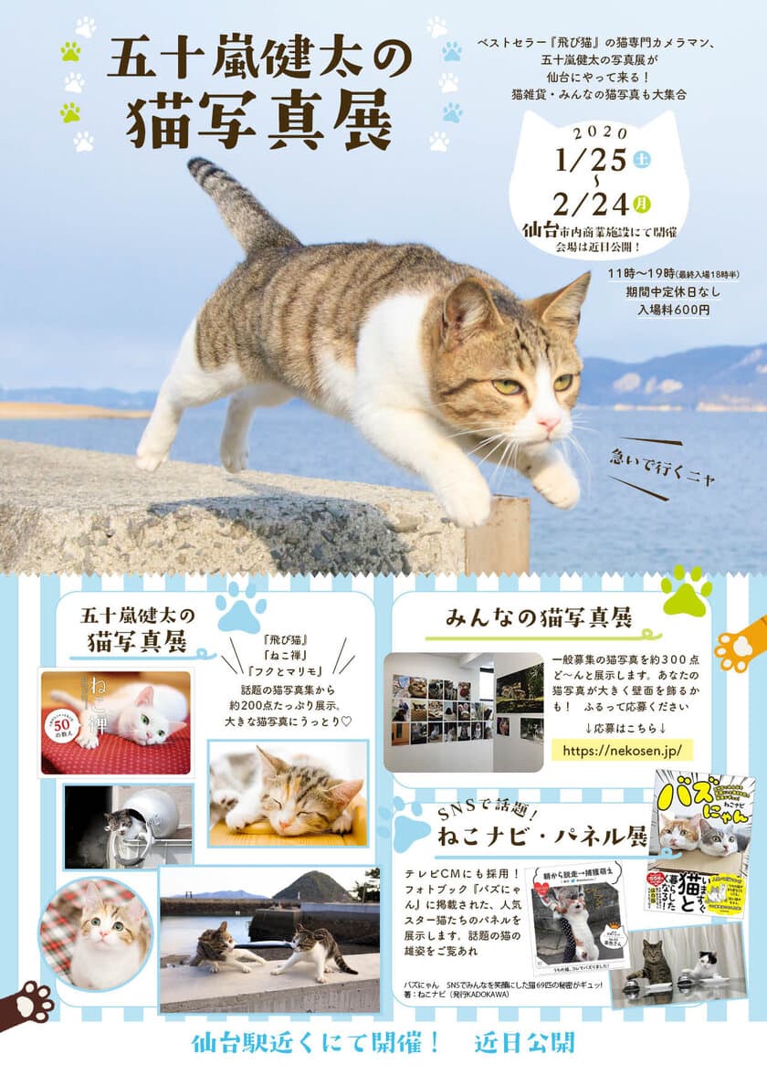 “猫専門カメラマン”五十嵐健太の「飛び猫写真展」を
広島県・宮城県・秋田県で初開催