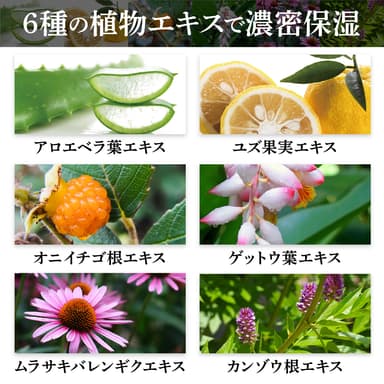 6種の植物エキスで濃密保湿