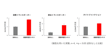 グラフ2 細胞試験結果