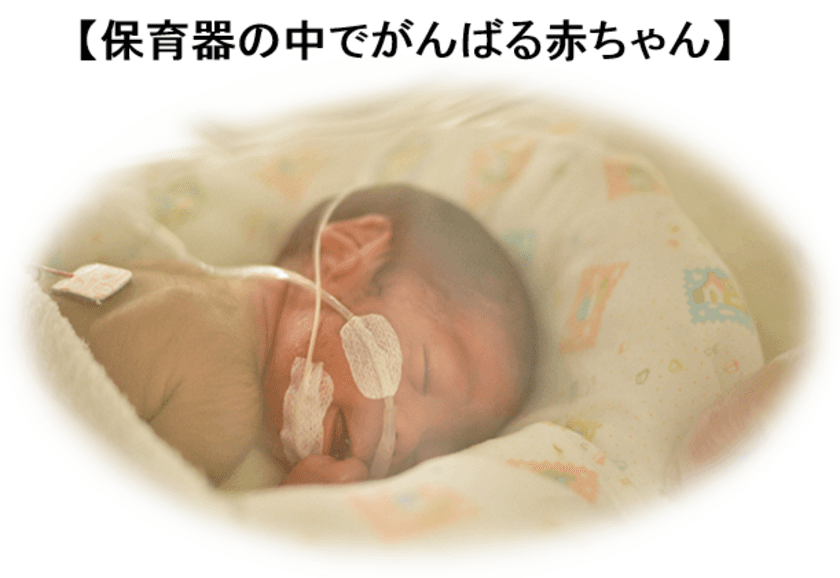 「ちいさな いのち応援プロジェクト」
6割がNICU※1卒業した子育て世帯　
「プロジェクト」開始から10日間で延べ20万人、賛同者多数集まる
～期間：2019年11月17日～12月25日まで～