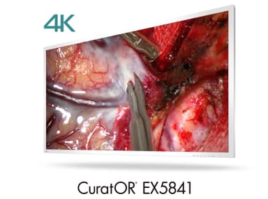 EIZO CuratOR EX5841