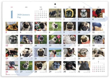 2020年版カレンダー中面イメージ／パグ
