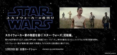 映画「スター・ウォーズ/スカイウォーカーの夜明け」