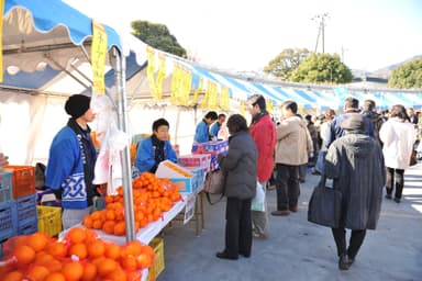 伊東温泉めちゃくちゃ市4