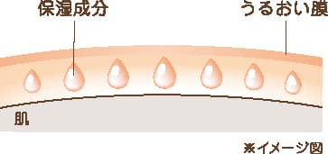 モイストトリートメント設計