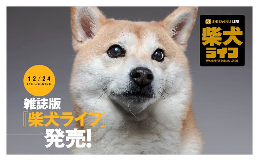 rakanu、雑誌版「柴犬ライフ」が季刊誌に！「柴犬ライフ 冬号2020」好評予約受付中