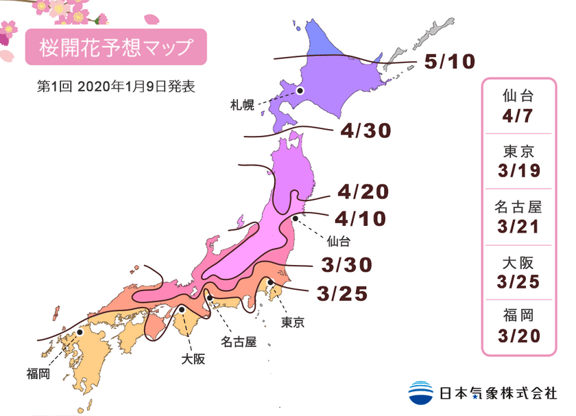 日本気象、2020年桜開花予想を発表！
東京は8年連続で平年より早く、全国一番乗りで3月19日に開花に