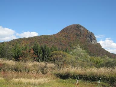 雲の峰　若きゴリラの　肺活量