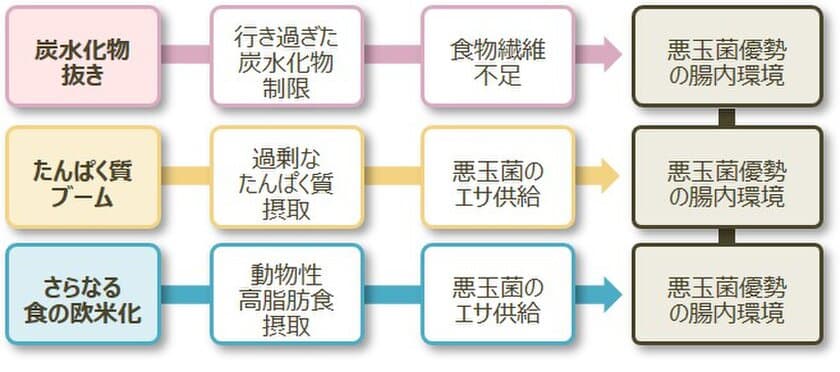 ＜知るほど得する大腸レポート 第2弾＞
寝正月に暴飲暴食…年明けの過度なダイエットは不腸のもと？