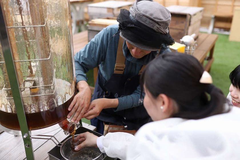 ハチの巣から蜂蜜を絞り出す本格的な“採取体験”、
養蜂体験型カフェ「伊勢街道店」で3月よりスタート