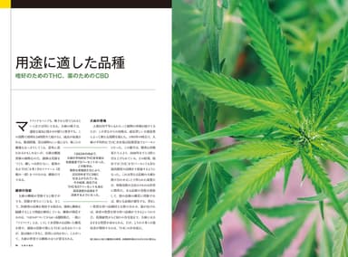 『マリファナ 世界の大麻最新事情』