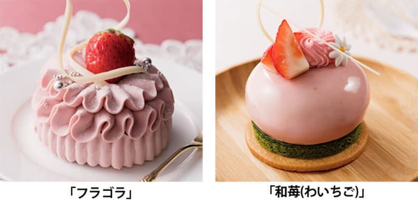 ルビーチョコで華やかに仕上げた可愛い苺ケーキが登場
期間限定スイーツ
「Strawberry(ストロベリー) Collection(コレクション)」
2020年2月1日（土）より　「ロビーショップ」にて