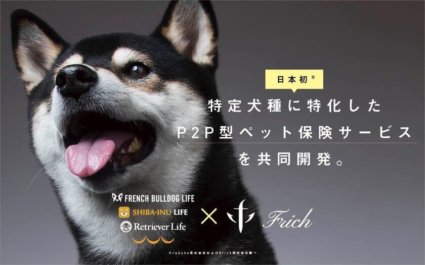 rakanu×Frich、日本初の「特定犬種に特化したP2P型ペット保険サービス」を共同開発