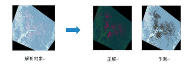 リッジアイ 衛星画像活用事例