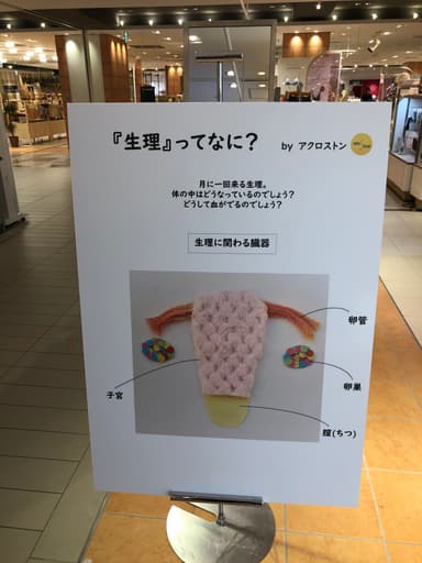 生理ってなに？