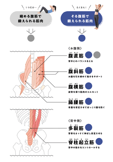 あらゆる筋肉が鍛えられる