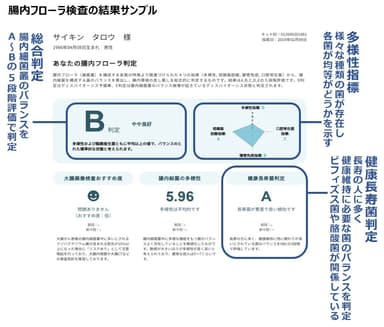 腸内フローラ検査の結果サンプル