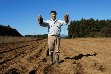 おいも日和では長野県の自社産のさつまいもを栽培。さらに全国からも厳選した美味しいお芋を仕入れています。