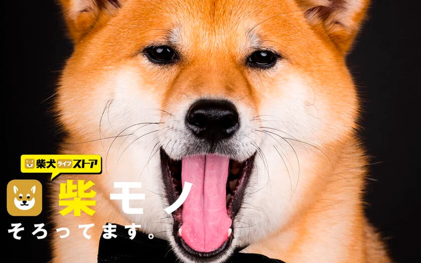 rakanu、柴犬特化メディア「SHIBA-INU LIFE」のオンラインストア「柴犬ライフストア」をオープン！