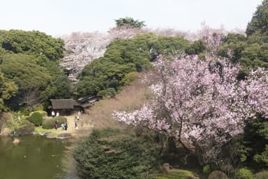 8_庭園風景