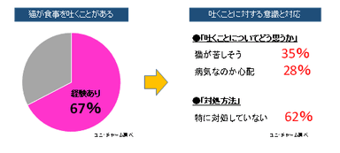 UC画像04