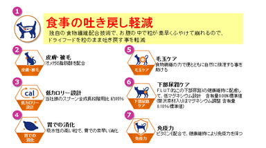 UC画像05