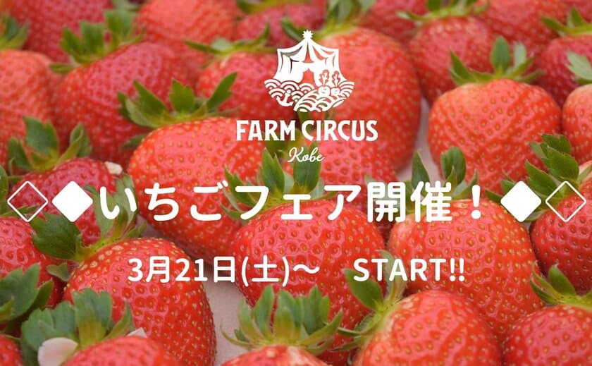 3月21日(土)～ START◆◇
限定グルメ、いちご狩り、いちごマルシェを楽しむ！
FARM CIRCUSで“いちごフェア”開催