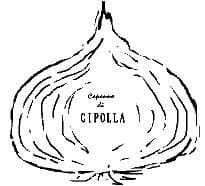 CIPOLLA