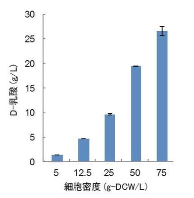 図２_遺伝子改変型ラン藻のD-乳酸生産量